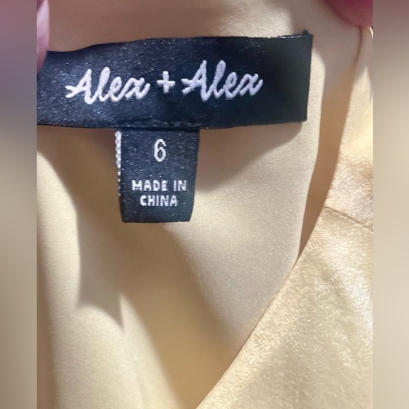 NWT Alex + Alex silk layered dress size small or 6 - Picture 4 of 5